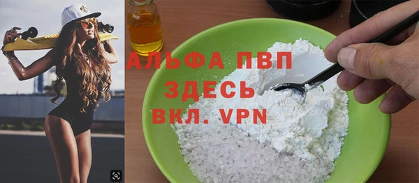 spice Богородицк